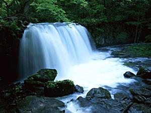 【徹底ガイド】東京・新宿のビジネスホテル:東横INN新宿歌舞伎町の魅力と最新情報