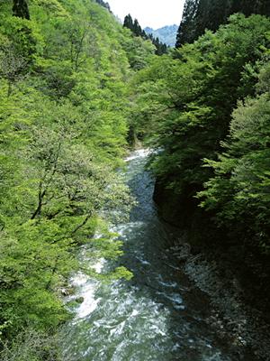 【タイトル】例:地域密着の信頼と実績を誇るXYZカーディーラーの紹介