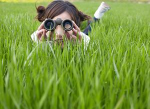 愛媛県新居浜市に位置する東横INN新居浜駅前の魅力と詳細情報