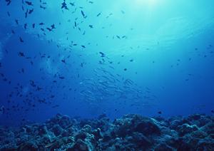 高松駅から徒歩5分の快適ビジネスホテル【東横INN高松駅前】|充実の設備と便利なアクセスで出張や観光も快適に