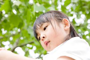 2026年最新版｜千葉の魅力を満喫できる最高のグランピングスポット10選