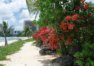 北の玄関口に位置する快適なビジネスホテル|東横INNオホーツク・網走駅前の魅力とポイント