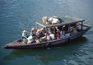 石垣島レンタカー選びの決定版!空港近くで快適に利用できる最新おすすめガイド【2025年版】