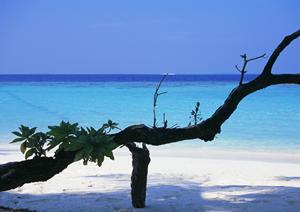 姫路駅徒歩5分のビジネスホテル【東横INN姫路駅新幹線北口】の魅力と詳細情報
