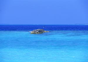 静岡市の中心で快適な宿泊と絶品レストランを提供する中島屋グランドホテルの魅力