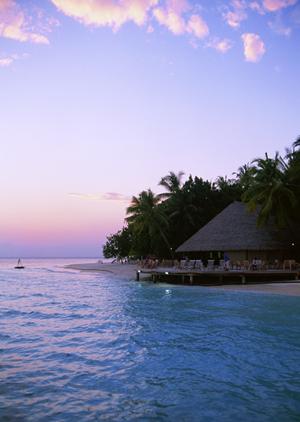 熊本市観光とビジネスに最適!東横INN熊本駅前の魅力と最新情報